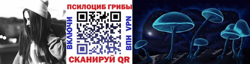 Псилоцибиновые грибы GOLDEN TEACHER  Купить  Белозерск 